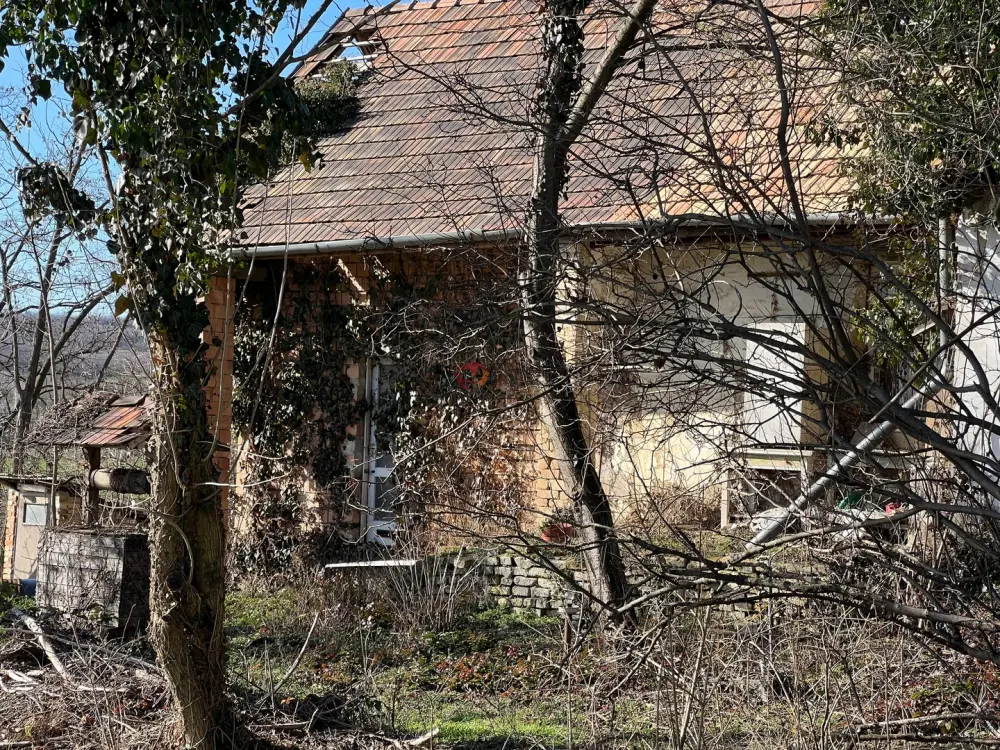 Fejér megye - Igar-Vámszőlőhegy