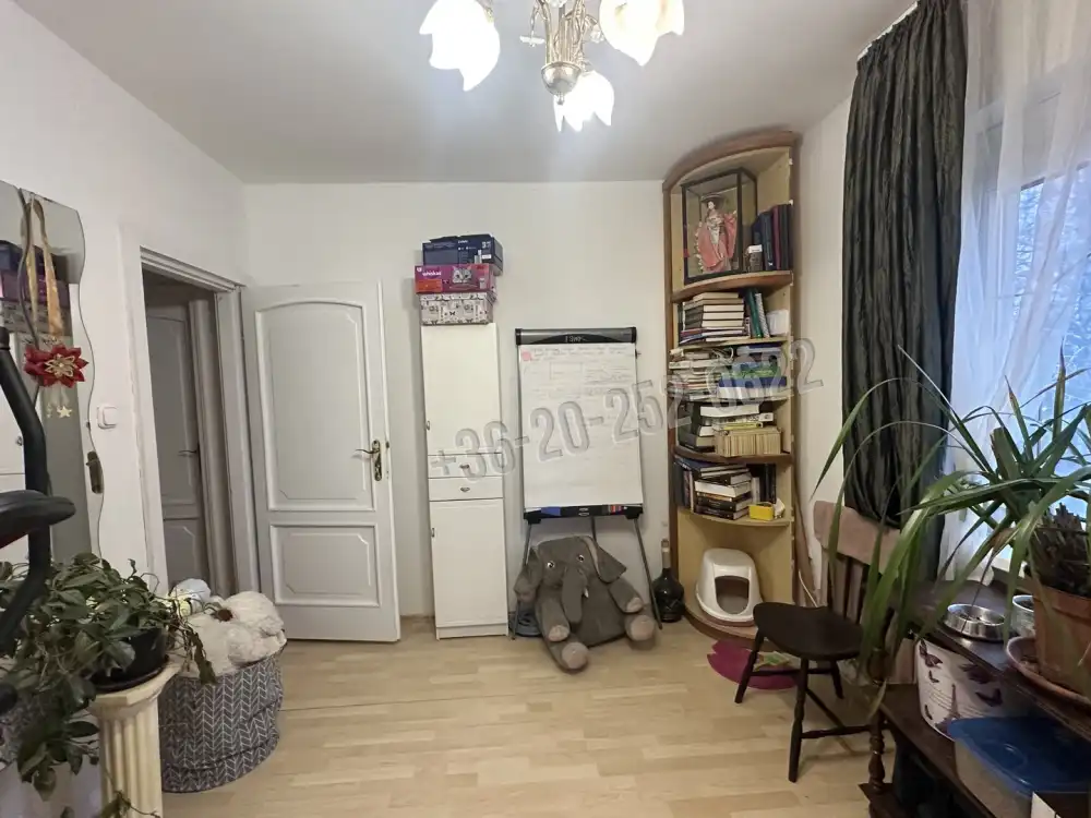 Fejér megye - Székesfehérvár