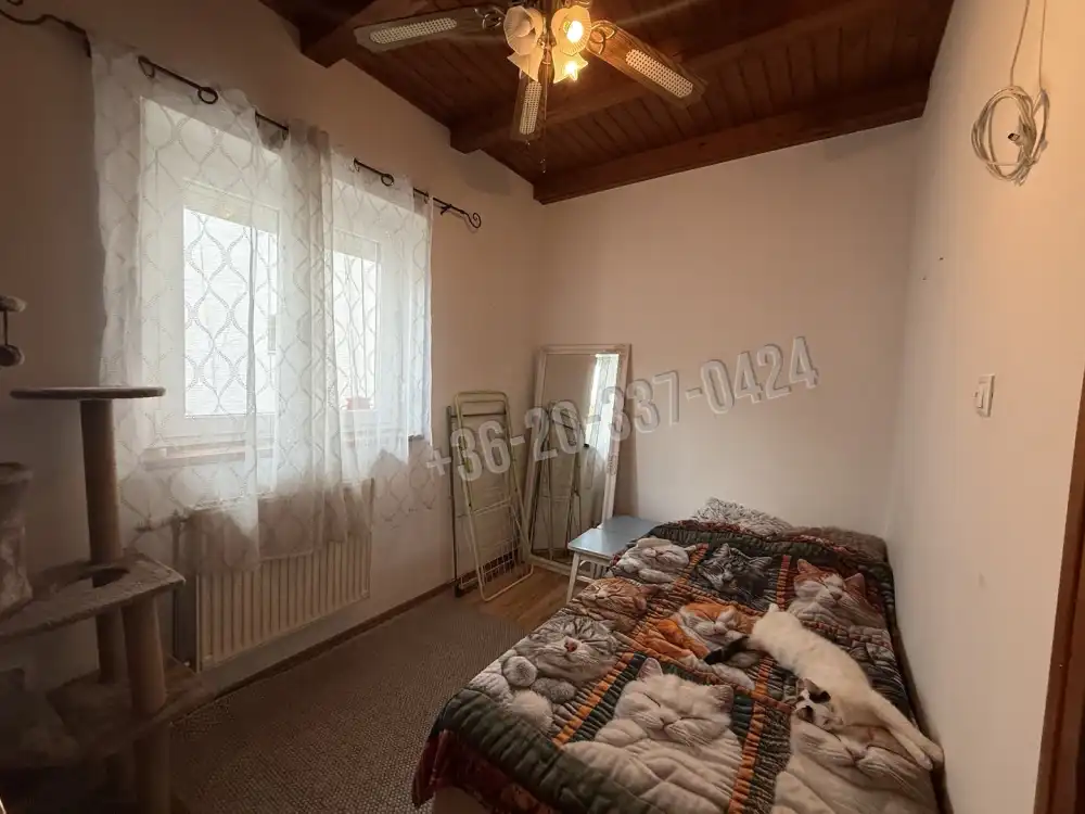 Fejér megye - Székesfehérvár