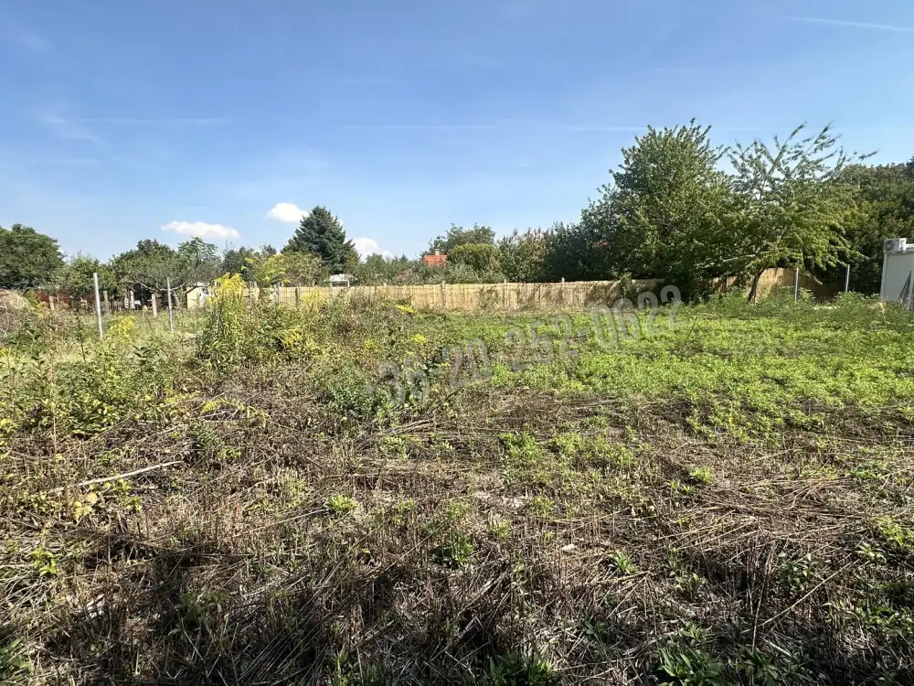 Somogy megye - Balatonvilágos