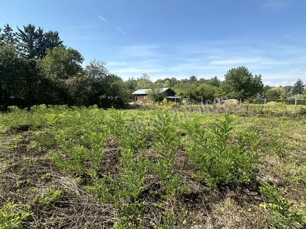 Somogy megye - Balatonvilágos