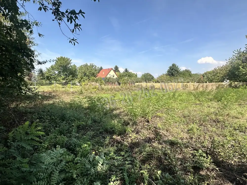 Somogy megye - Balatonvilágos