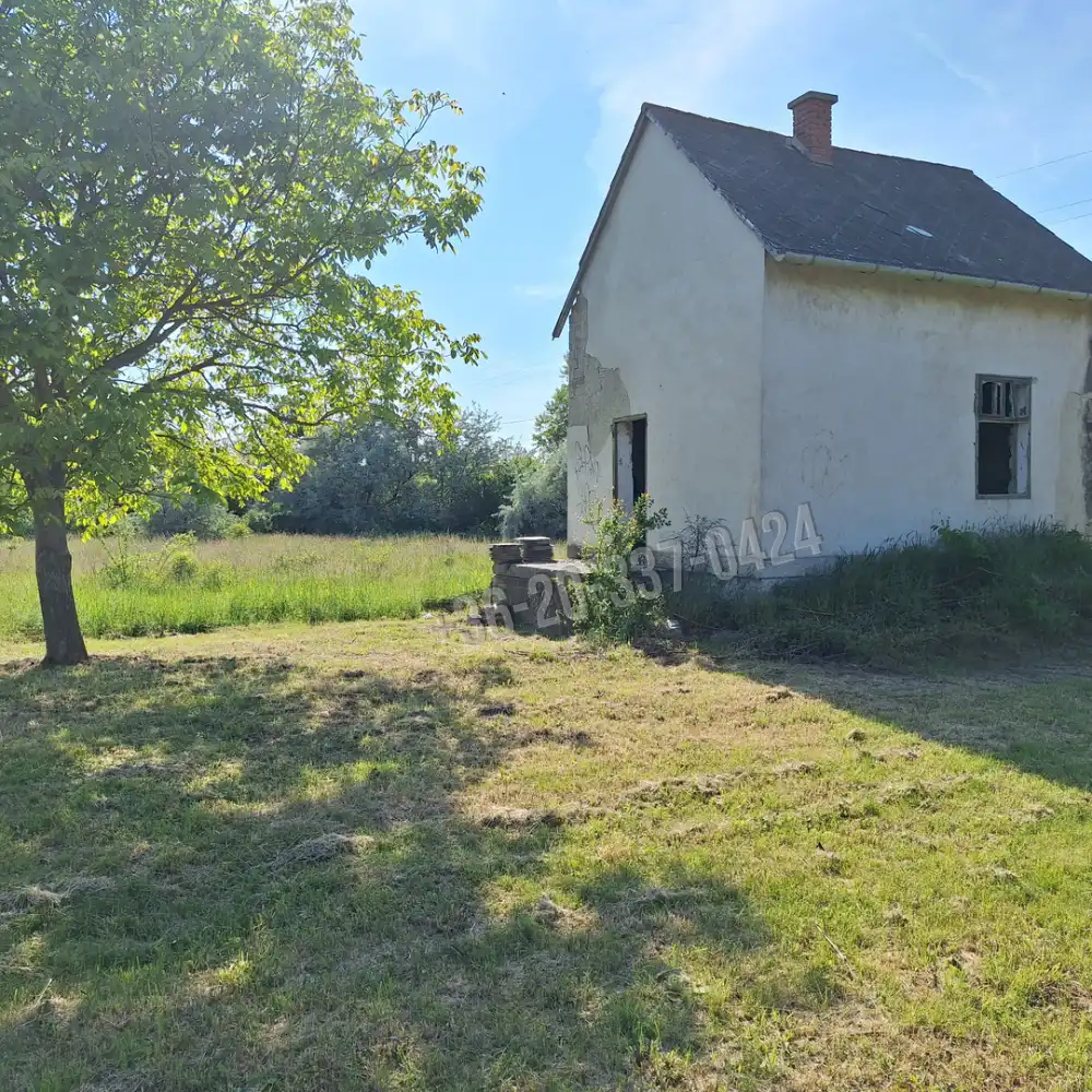 Fejér megye - Székesfehérvár