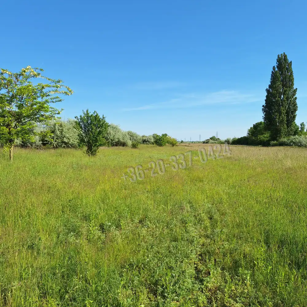 Fejér megye - Székesfehérvár