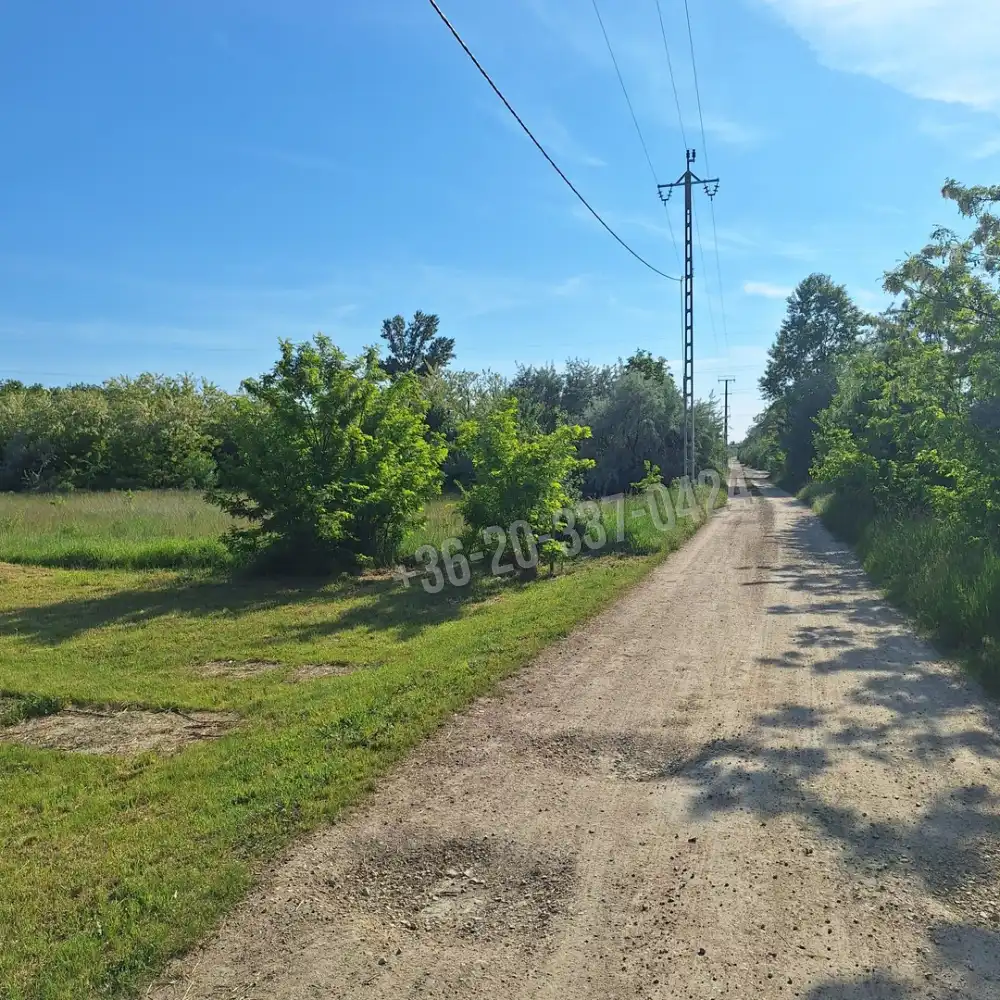 Fejér megye - Székesfehérvár