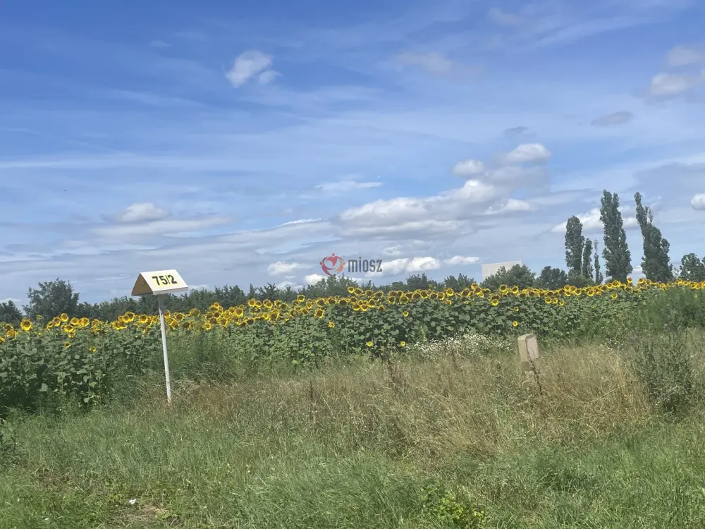 Fejér megye - Székesfehérvár