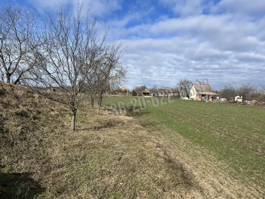 eladó  Szántó, Polgárdi