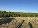 Fejér megye - Lovasberény